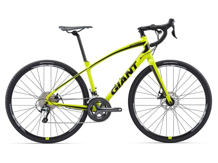 2017 Giant AnyRoad 1
