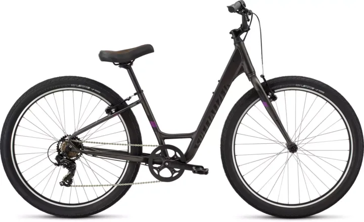 2017 Specialized Roll Low Entry