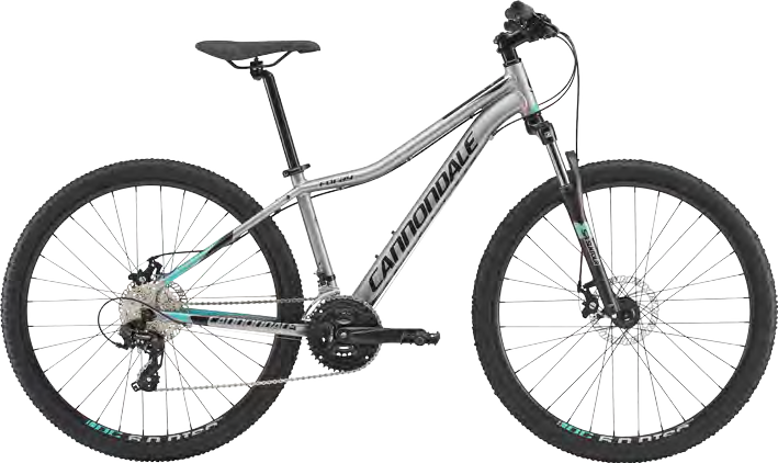 2018 Cannondale Foray 3