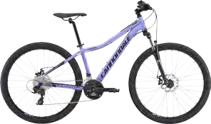 2018 Cannondale Foray 3