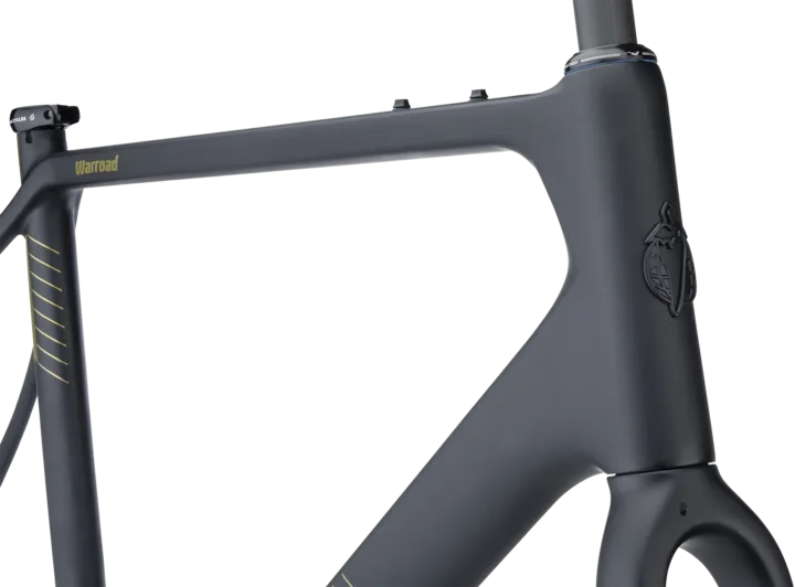 2019 Salsa Warroad C Frameset
