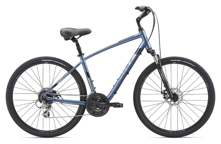 2019 Giant Cypress DX M Disc