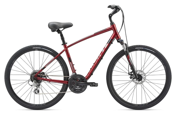 2019 Giant Cypress DX M Disc