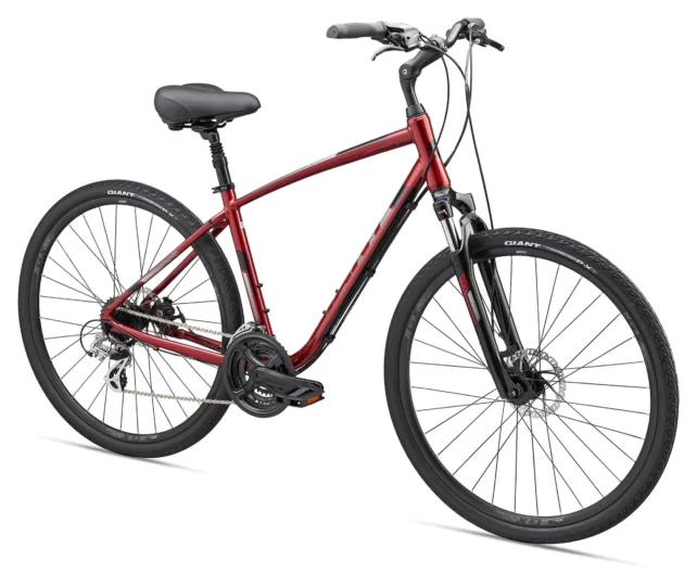 2019 Giant Cypress DX M Disc