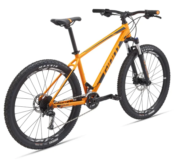 2019 Giant Talon 2
