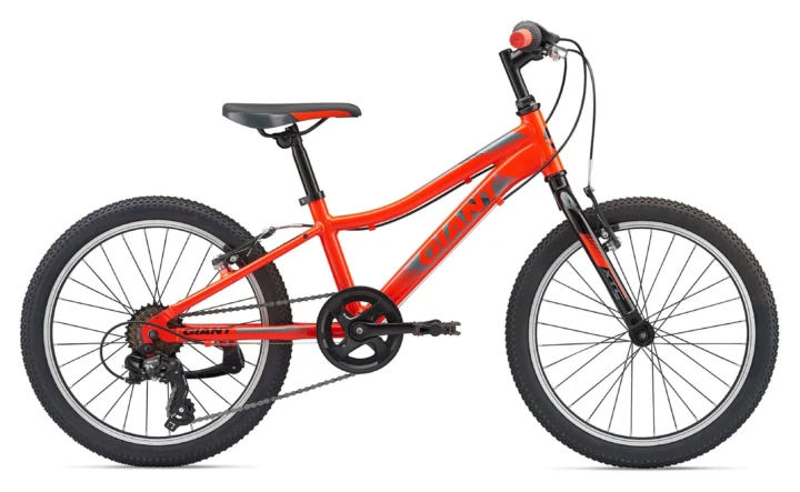 2019 Giant XTC Jr 20 Lite