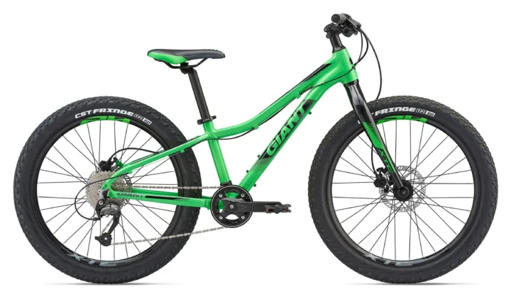 2019 Giant XTC Jr 24 +