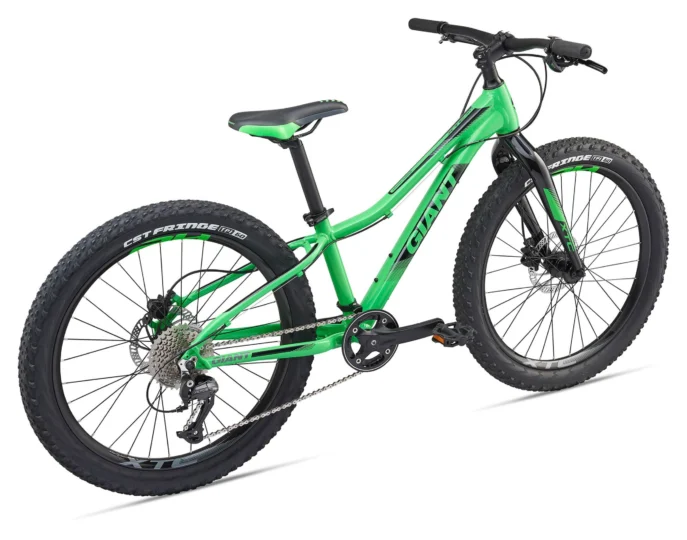 2019 Giant XTC Jr 24 +