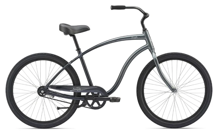 2019 Giant Simple Single