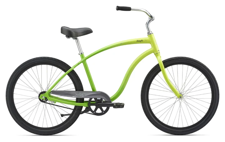 2019 Giant Simple Single