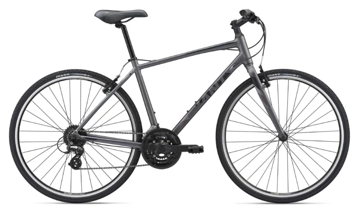 2019 Giant Escape 2