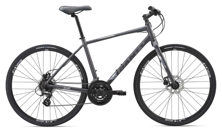 2019 Giant Escape 2 Disc