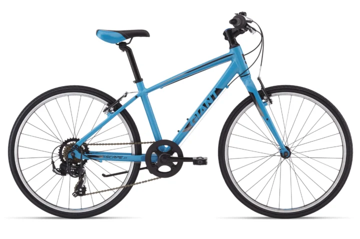 2019 Giant Escape Jr 24