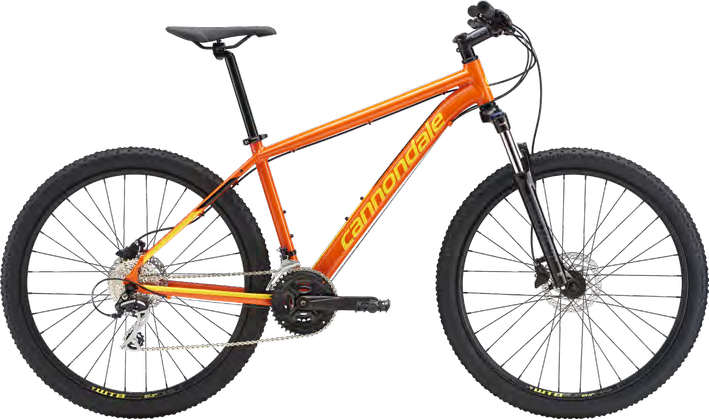 2019 Cannondale Catalyst 1