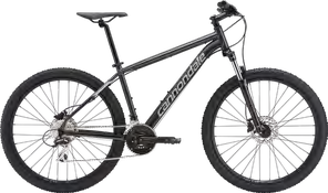 2019 Cannondale Catalyst 1