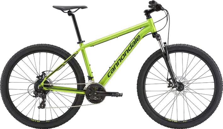 2019 Cannondale Catalyst 3
