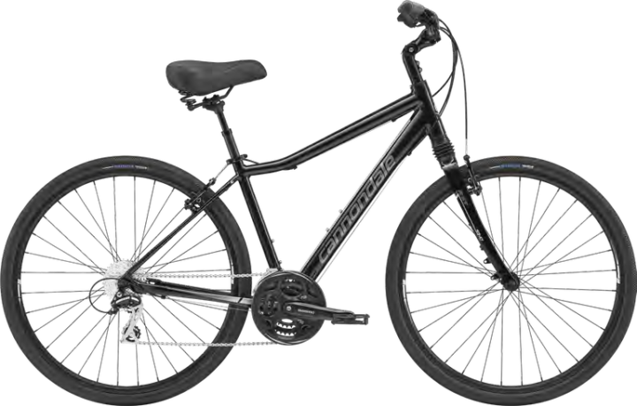 2019 Cannondale Adventure 1