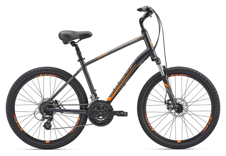 2019 Giant Sedona DX Disc