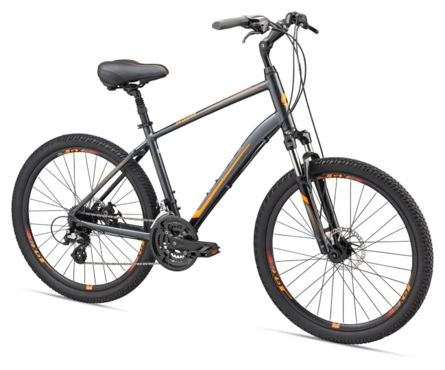 2019 Giant Sedona DX Disc