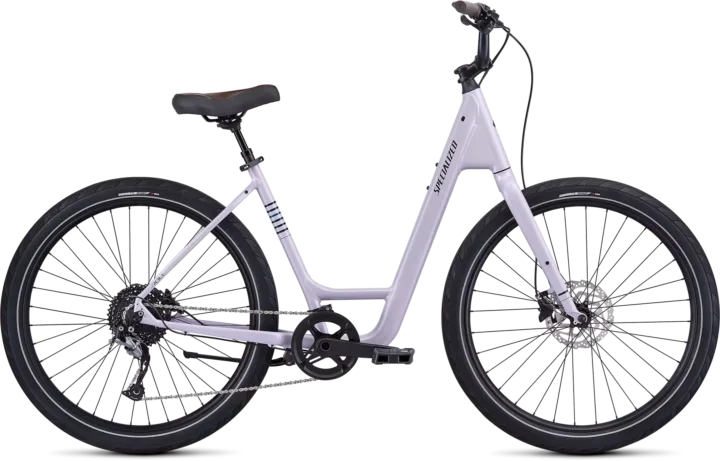 2019 Specialized Roll Elite – Low-Entry