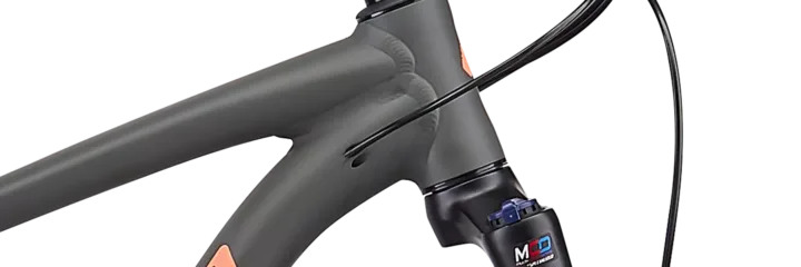 2019 Specialized Rockhopper Comp - Women's