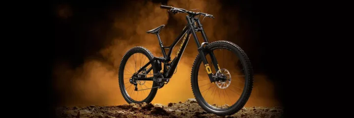 2019 Specialized Demo Race 29