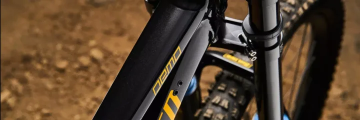 2019 Specialized Demo Race 29