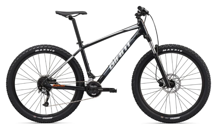 2020 Giant Talon 2