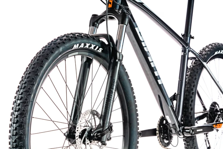 2020 Giant Talon 2