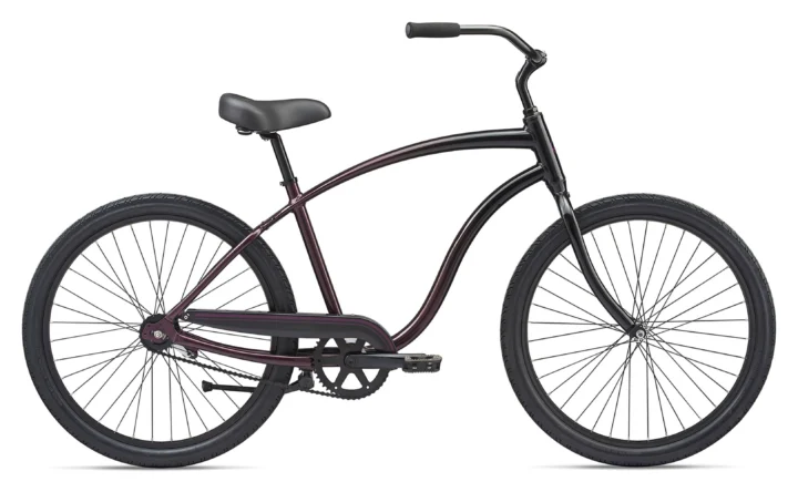 2020 Giant Simple Single