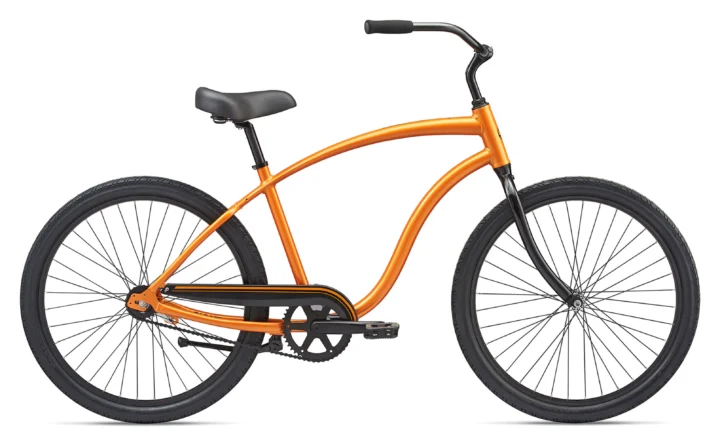 2020 Giant Simple Single