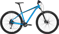 2020 Cannondale Trail 5