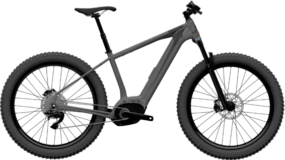 2020 Cannondale Trail Neo 3