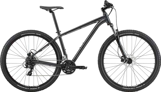 2020 Cannondale Trail 8