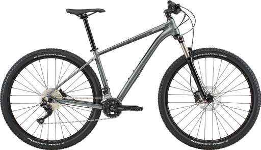2020 Cannondale Trail 4