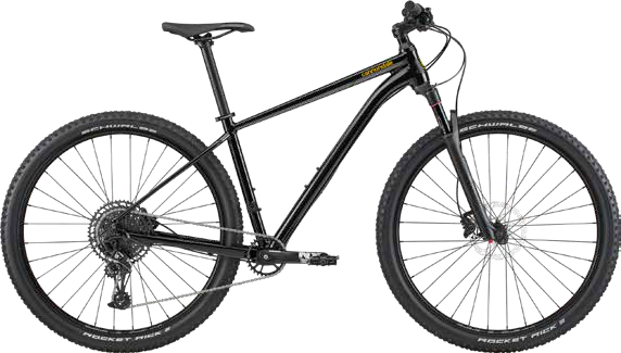 2020 Cannondale Trail 1