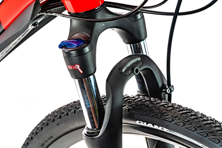 2020 Giant Roam 2 Disc