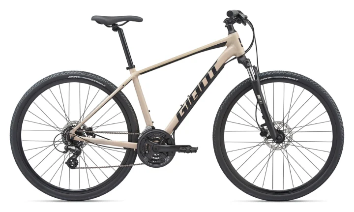 2020 Giant Roam 4 Disc