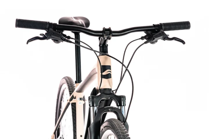 2020 Giant Roam 4 Disc