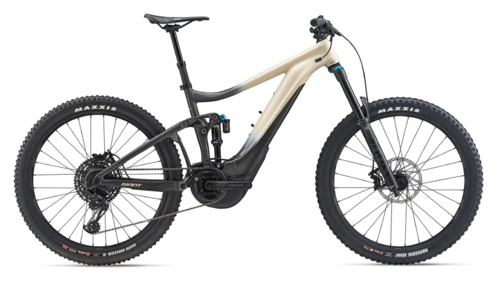 2020 Giant Reign E+ 2 Pro