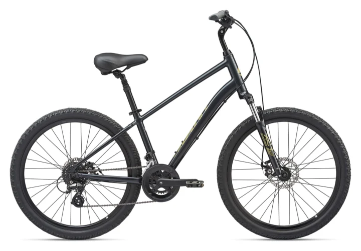 2020 Giant Sedona DX