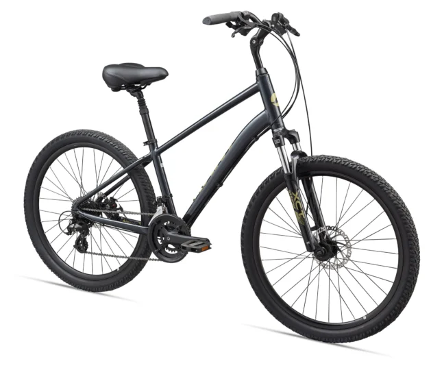 2020 Giant Sedona DX
