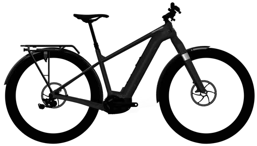 2020 Cannondale Canvas Neo 1