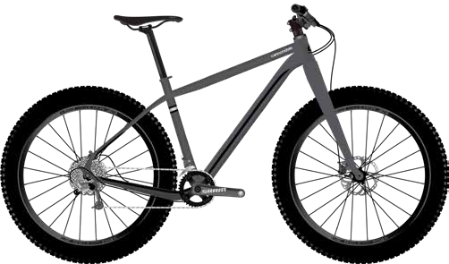 2020 Cannondale Fat CAAD 1