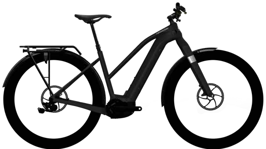 2020 Cannondale Canvas Neo Remixte 1