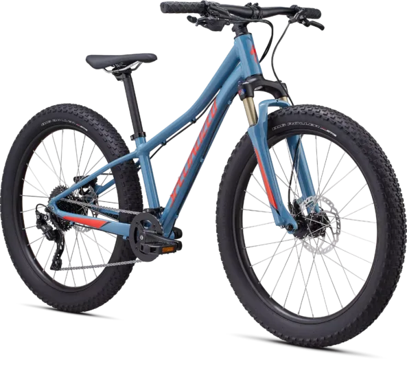 2020 Specialized Riprock Expert 24
