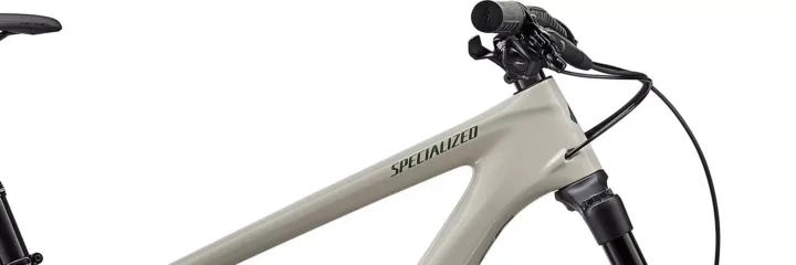 2020 Specialized Enduro Elite