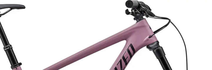 2020 Specialized Enduro Elite