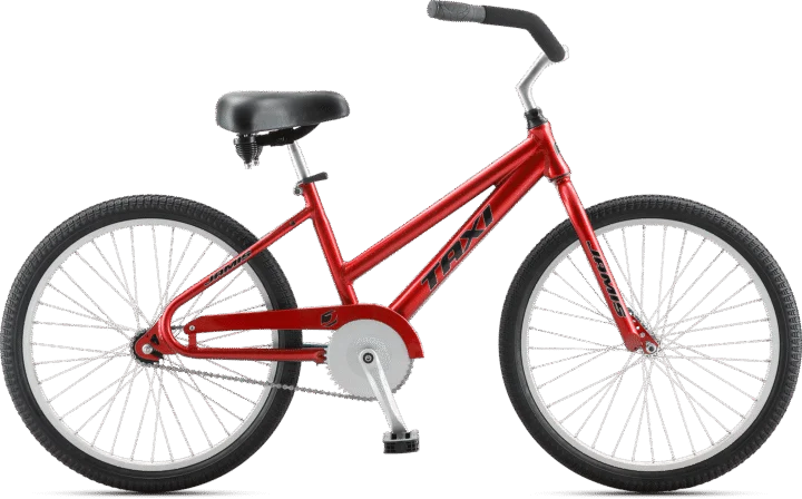 2021 Jamis Taxi 24"