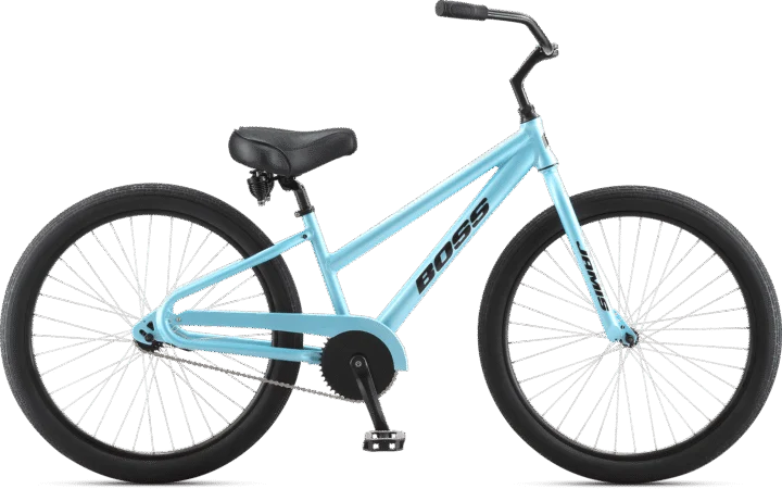 2021 Jamis Boss Cruiser Coaster